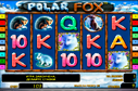 Polar Fox